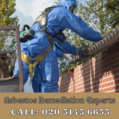 Asbestos Remediation Experts Hooley