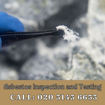 Comprehensive Asbestos Inspection and Testing Services in Hooley